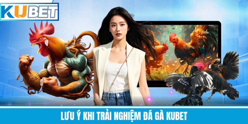 Lưu Ý Khi Trải Nghiệm Đá Gà Kubet